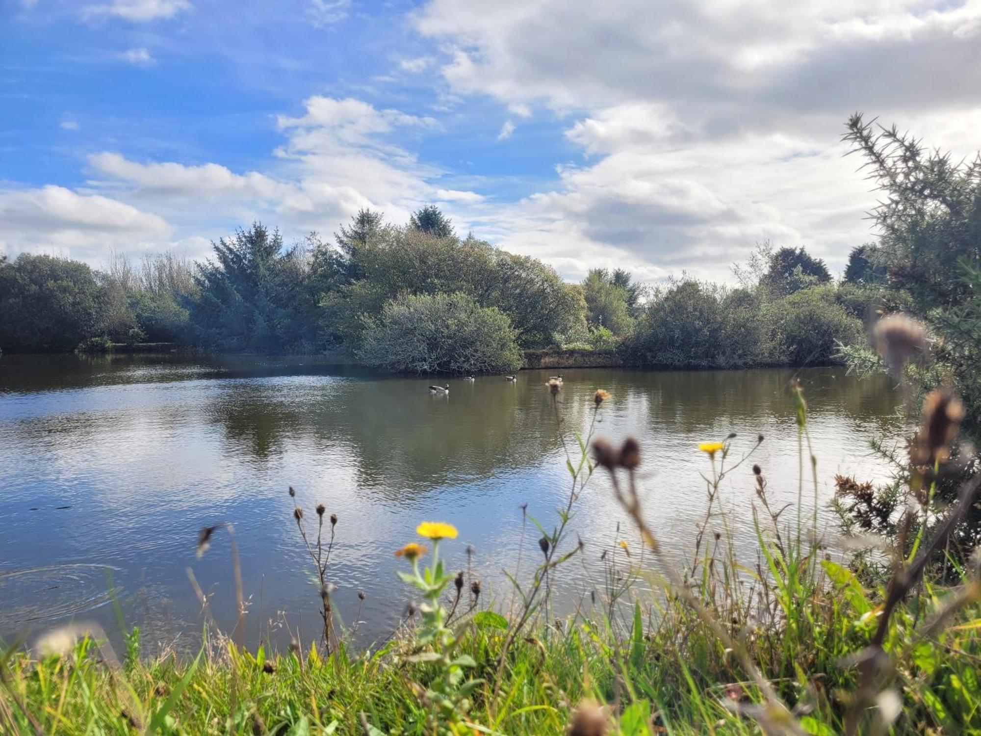 Lakeside Glamping Firecrest St Columb Major Luaran gambar