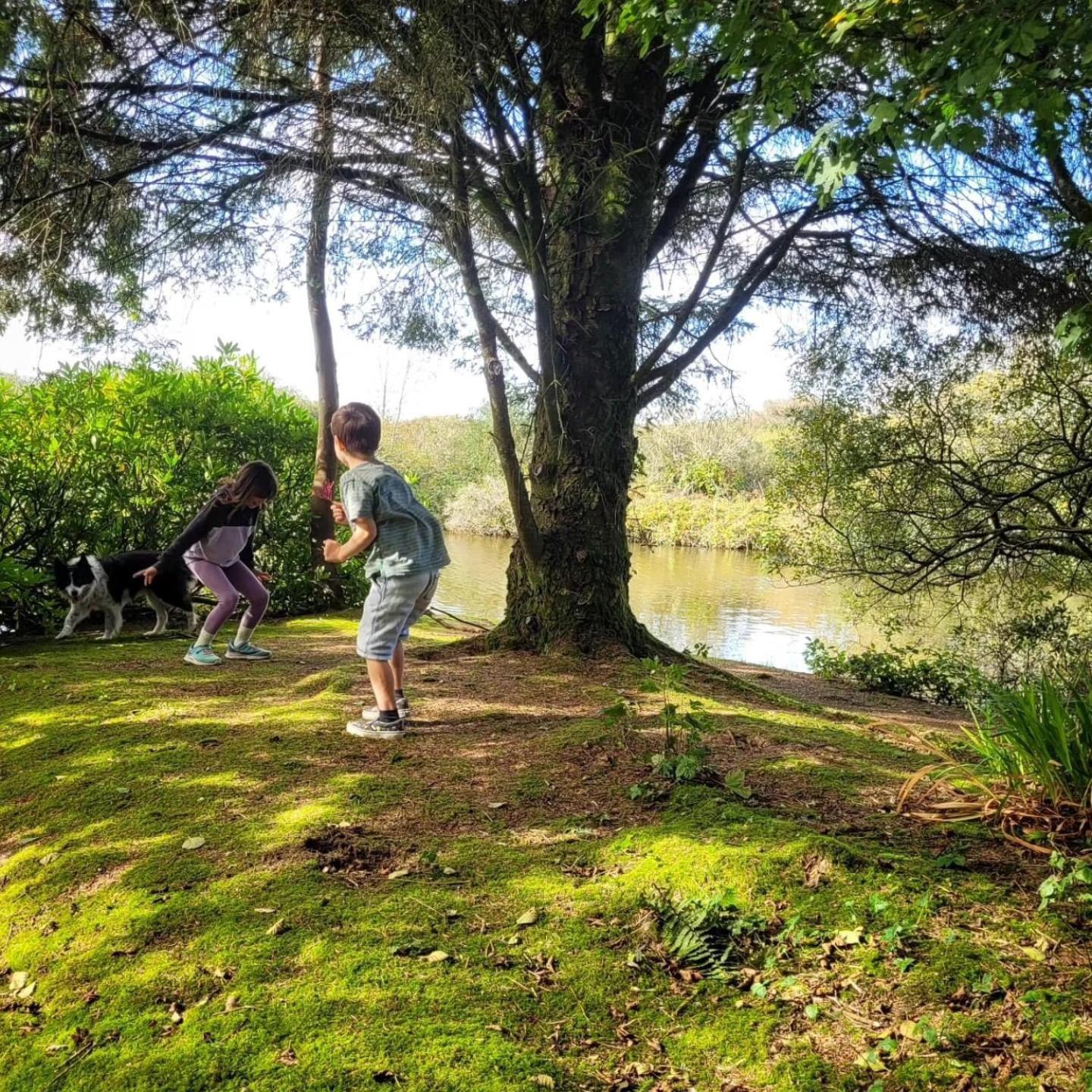 Lakeside Glamping Firecrest St Columb Major Luaran gambar