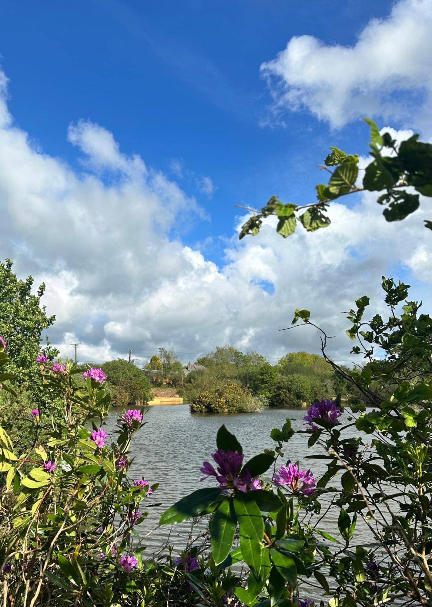 Lakeside Glamping Firecrest St Columb Major Luaran gambar
