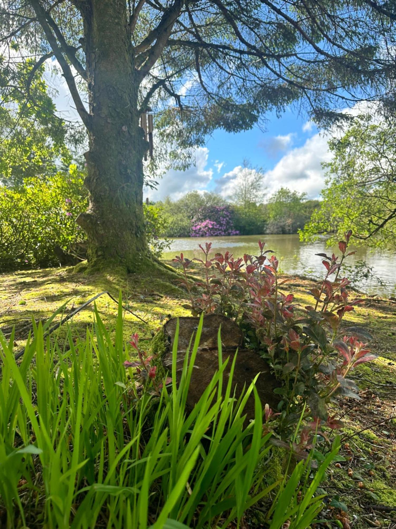 Lakeside Glamping Firecrest St Columb Major Luaran gambar