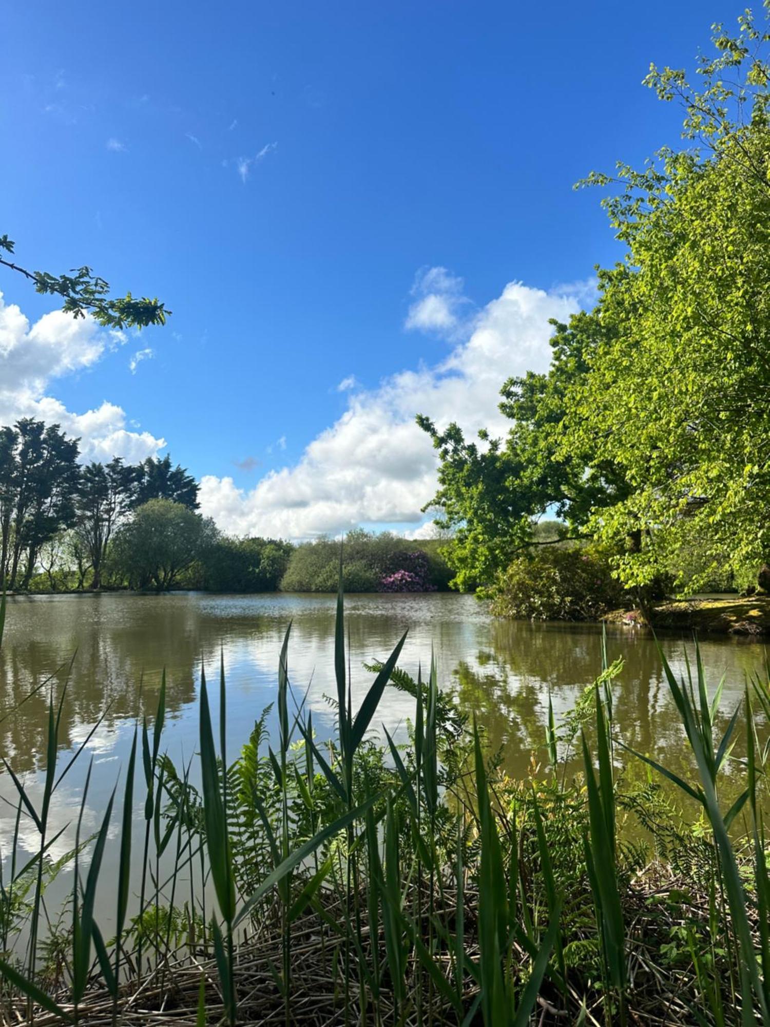 Lakeside Glamping Firecrest St Columb Major Luaran gambar