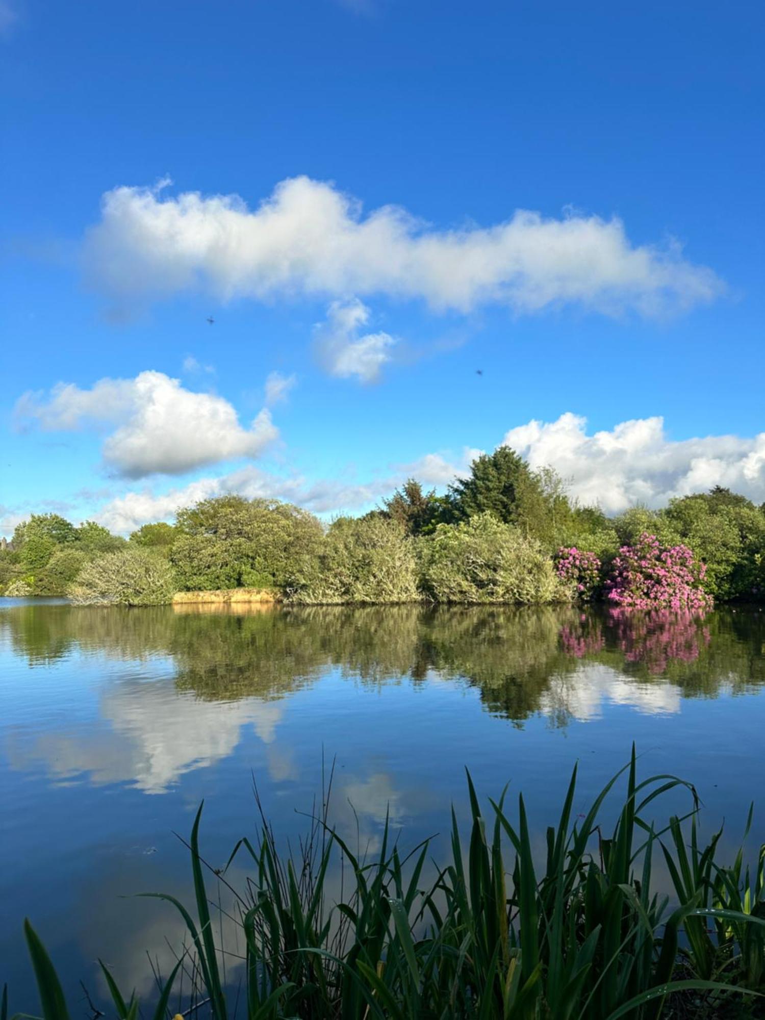 Lakeside Glamping Firecrest St Columb Major Luaran gambar