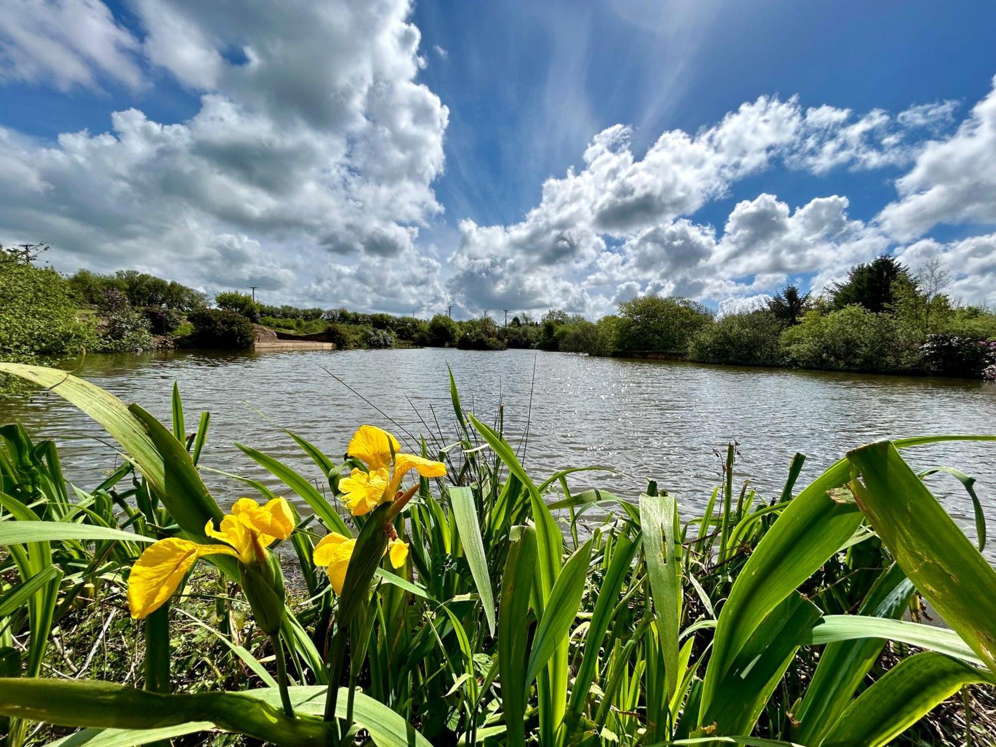 Lakeside Glamping Firecrest St Columb Major Luaran gambar