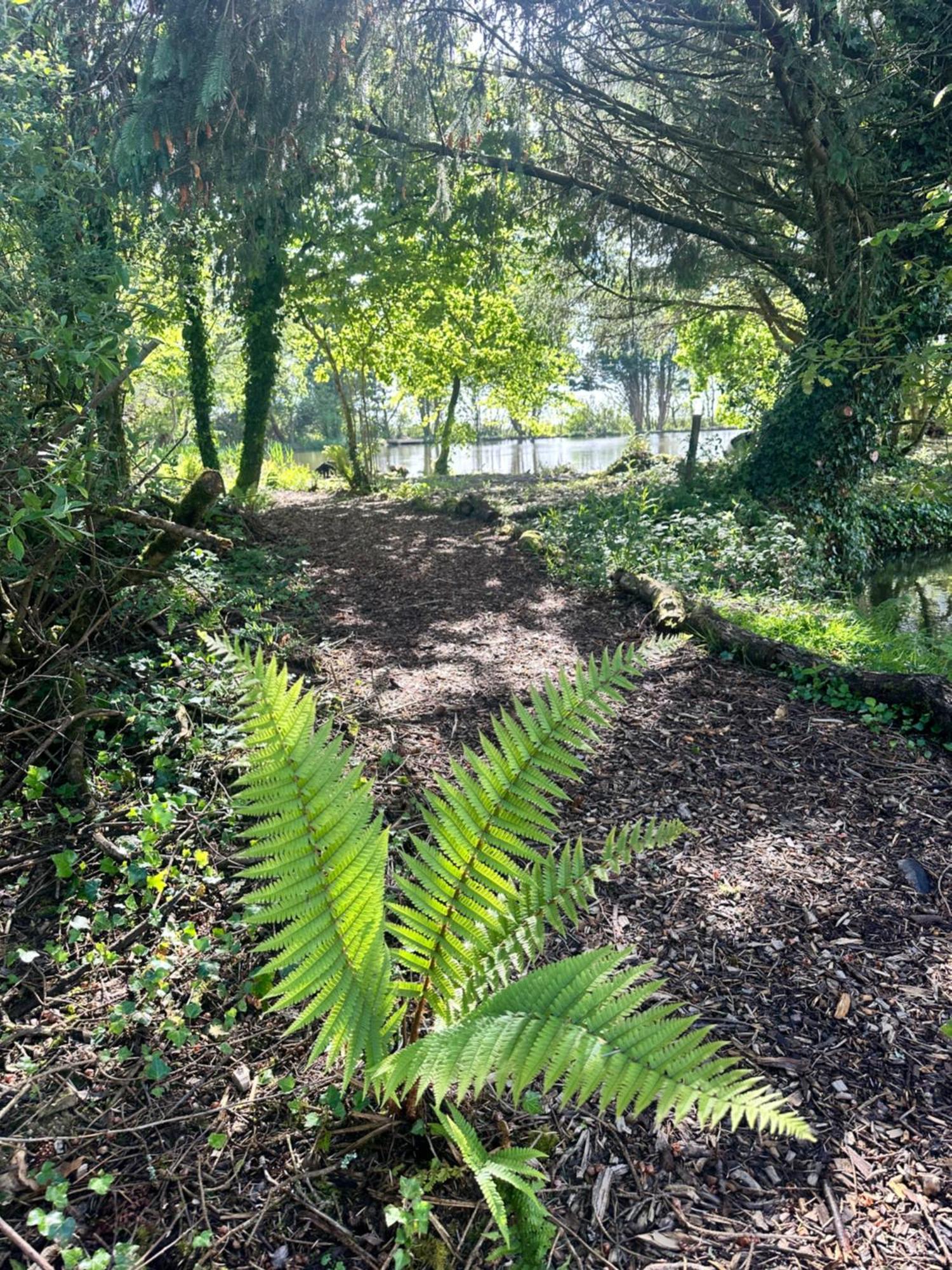 Lakeside Glamping Firecrest St Columb Major Luaran gambar